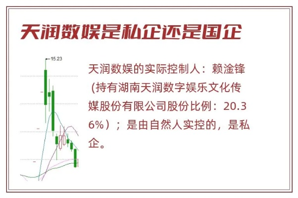 天娱股票投资价值分析与展望-第2张图片-www.211178.com_果博福布斯